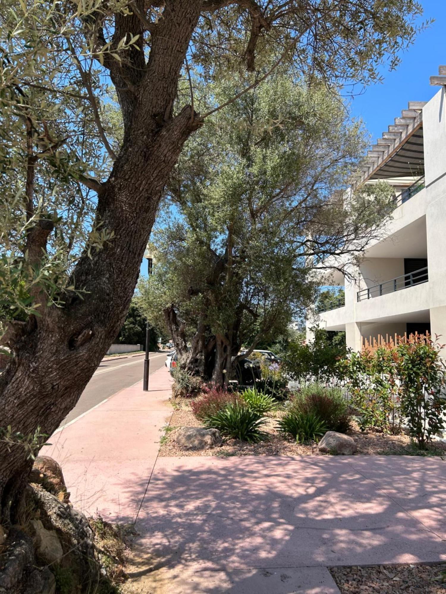 Sognu Di Serena - Superbe Appartement Avec Parking Gratuit Sur Place Porto-Vecchio  Zewnętrze zdjęcie